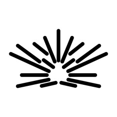 fireworks line icon