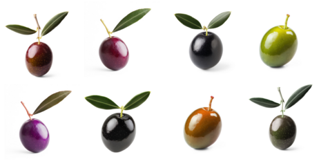Collection of an olive, its rich color standing out against the light. full length isolate on transparent background