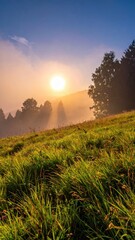 Fototapeta premium Misty Sunrise Over Serene Meadow with Lush Green Grass