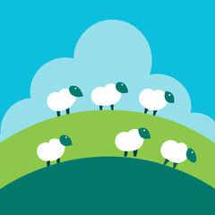 Fluffy white sheep grazing on a green hill under a blue sky