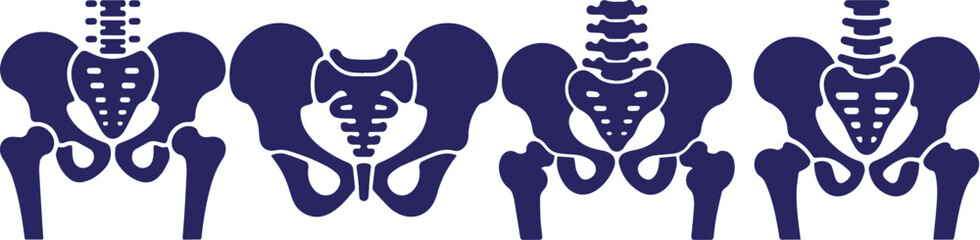 Medical illustration of human pelvis and hip bone anatomy in seamless pattern, skeletal system vector design for healthcare, education, physiotherapy, and orthopedic reference
