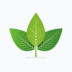 Graphic trio of green and white leaves featuring distinct vein patterns and a stylized textured appearance.