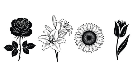 Collection of hand drawn floral outlines featuring rose lily sunflower and tulip blooms vector