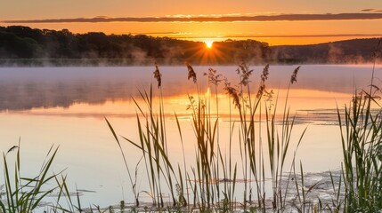 sunrise over the lake