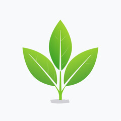 Stylized flat design illustration of a young plant with three white leaves and a green stem.