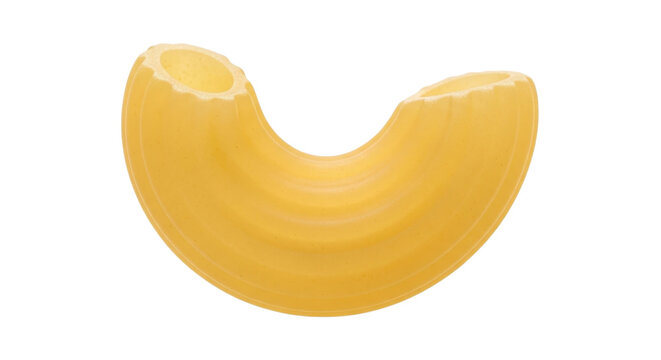 Single elbow macaroni noodle isolated PNG with Transparent Background