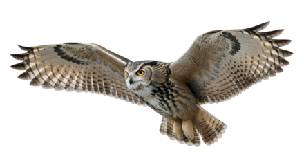 Eurasian eagle-owl soaring in flight isolated PNG with Transparent Background