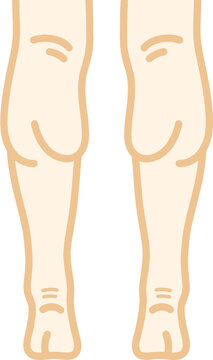 다리 근육