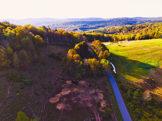 Drone aerial view of a tranquil road surrounded by farmland, forest edge, and autumn colors. Scenic countryside landscape with wetlands, trees, and natural habitat.