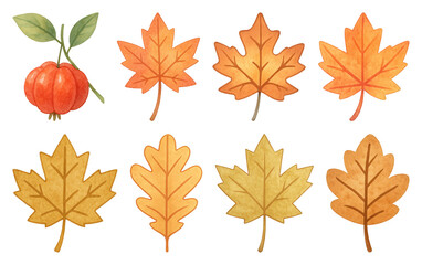 Fototapeta premium PNG Autumn leaves and pumpkin illustration, element set on transparent background