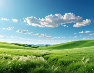 Fototapeta premium Expansive Green Fields Under a Bright Blue Sky with Soft Clouds