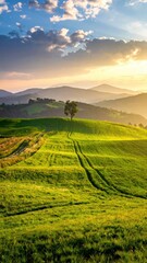 Fototapeta premium Serene Green Hills Under Golden Sunset with Isolated Tree