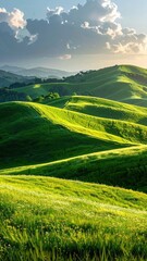 Fototapeta premium Lush Green Hills Under a Beautiful Sky at Sunset in Nature Landscape