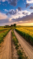 Obraz premium Serene Country Road Through Lush Green Fields at Sunset