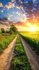 Obraz premium Serene Landscape of Dirt Pathway through Green Fields at Sunrise