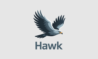 Fototapeta premium Stylized Hawk in Flight with Text Hawk.