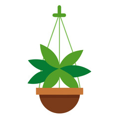 plant in pot