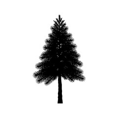 Black silhouette of a coniferous pine tree against a white background