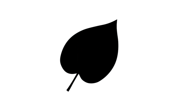 Black silhouette of a single leaf 1.