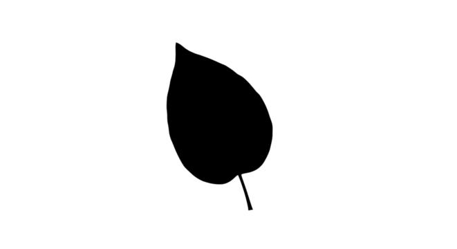Black silhouette of a single leaf.