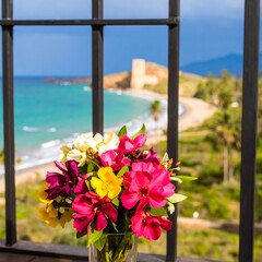 Flowers view balcony
