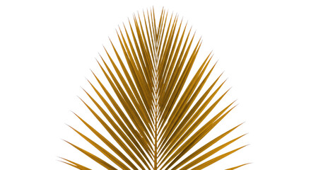 Obraz premium Golden Palm Leaf Detailed Closeup.