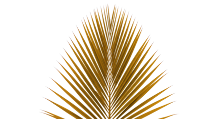 Golden Palm Leaf Detailed Closeup.