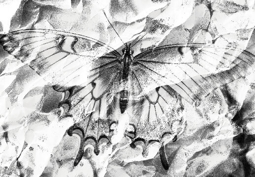 Black And White Grungy Xerox Copy Photo Effect