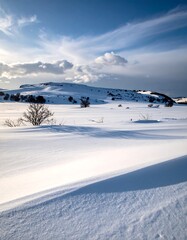 Winter landscape with snow-covered hills