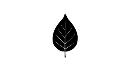 Simple Black Leaf Silhouette Illustration 3.