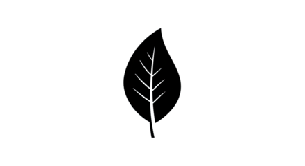 Simple Black Leaf Silhouette Illustration.