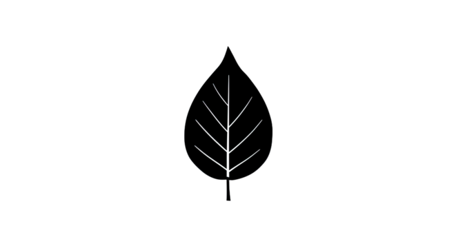 Simple Black Leaf Silhouette Illustration 3.