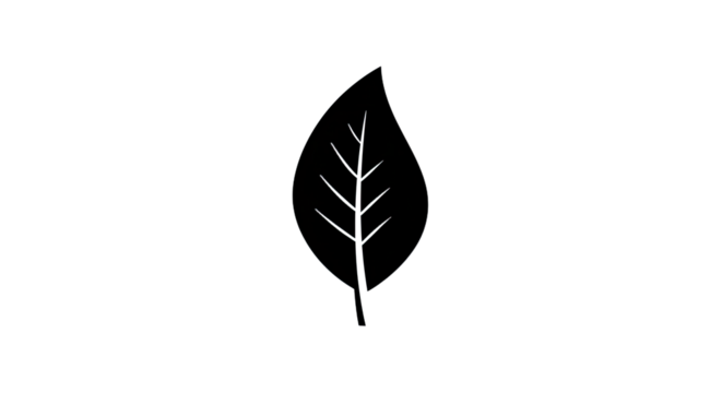 Simple Black Leaf Silhouette Illustration.