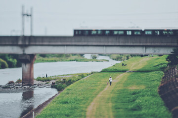 Fototapeta premium 電車と河川敷の風景