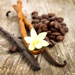 Vanilla and coffee beans on wood