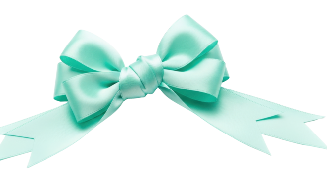 Mint-colored decorative satin ribbon bow isolated PNG with Transparent Background