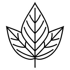 Elegant outline leaf icon vector art scalable black illustration for nature and organic themes silhouette vector illustration white background