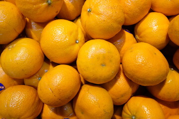 A Symphony of the Harvest, Where Earth's Bounty Awaits Beneath the Gleaming Lights of the Market