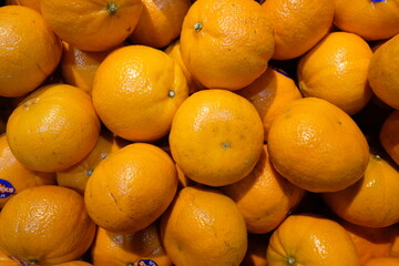 A Symphony of the Harvest, Where Earth's Bounty Awaits Beneath the Gleaming Lights of the Market