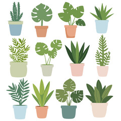 Monstera and Leafy Plant Vector Collection – Tropical Indoor Plants in Pots