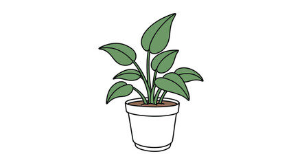 Simple illustration of a green philodendron plant in a white pot © nhpvect02