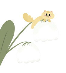 Lily of the valley with cat