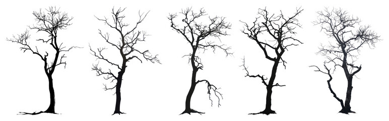 Obraz premium PNG Silhouetted barren winter trees, element set on transparent background