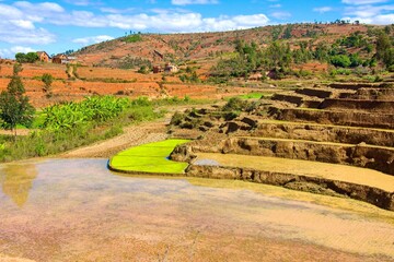 Landscape of Madagascar