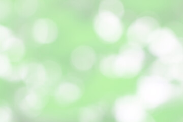 Obraz premium Green nature bokeh, Subtle background in abstract style for graphic design