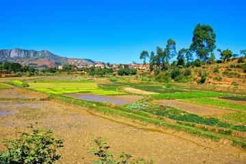 Landscape of Madagascar