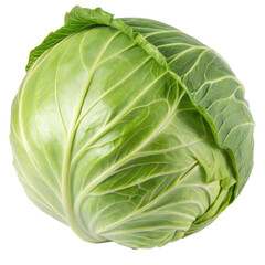 Fototapeta premium A Fresh, Whole, Raw Green Cabbage with Leaves