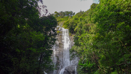 Majestic Waterfall Amidst Lush Greenery: A breathtaking waterfall cascades down a rocky cliff face, surrounded by verdant trees.