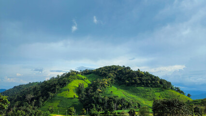 Rolling Hills Under Blue Sky: Panoramic view of rolling green hills under a vast, expressive blue sky dotted with fluffy white clouds.