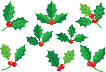 Christmas holly leaves and red berries vector illustration for festive decoration, seasonal design and holiday elements